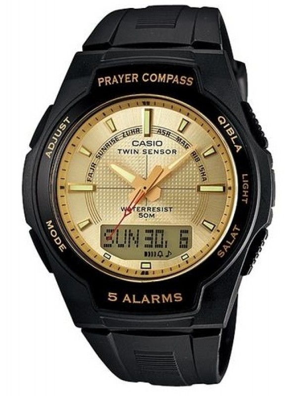 фото Мужские наручные часы Casio Collection CPW-500H-9A