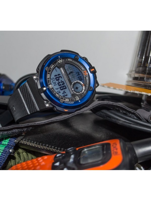 фото Мужские наручные часы Casio Collection SGW-600H-2A