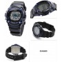 Мужские наручные часы Casio Collection W-S210H-1A