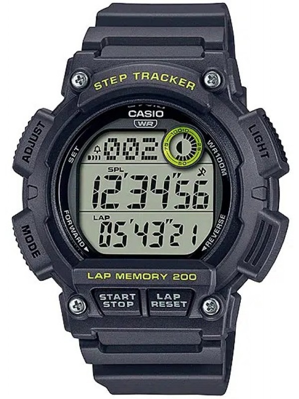 фото Мужские наручные часы Casio Collection WS-2100H-8A