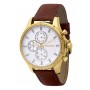 Мужские наручные часы GUARDO Premium 11173-8 сталь