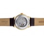 Мужские наручные часы ORIENT AP0106S [RA-AP0106S]