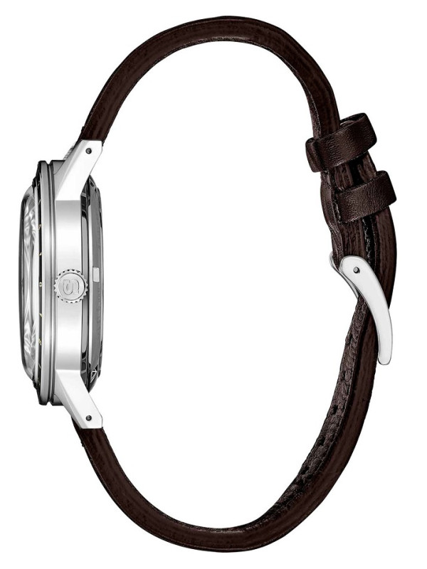 фото Мужские наручные часы Seiko Presage SSK013J1
