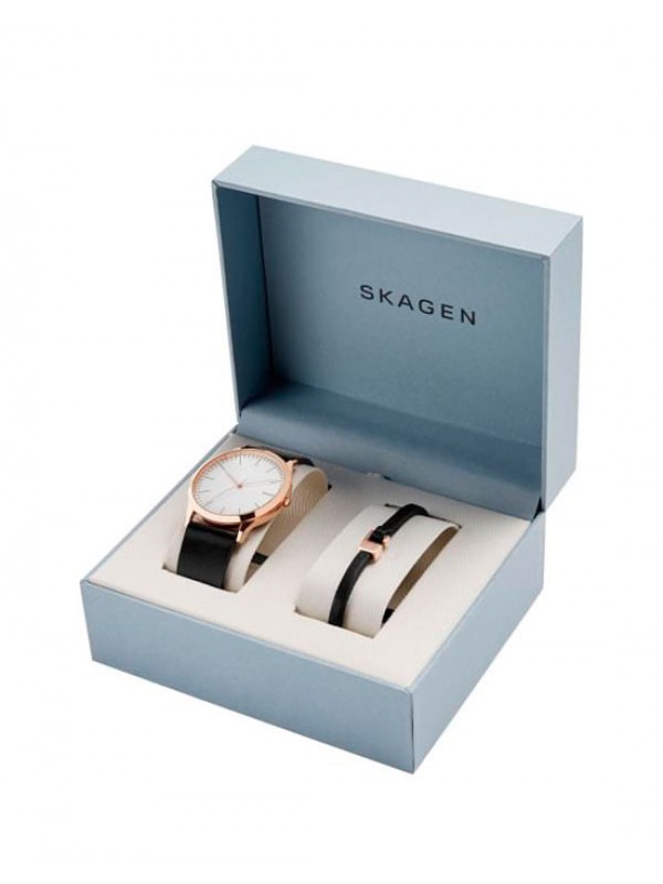 фото Мужские наручные часы Skagen SKW1102