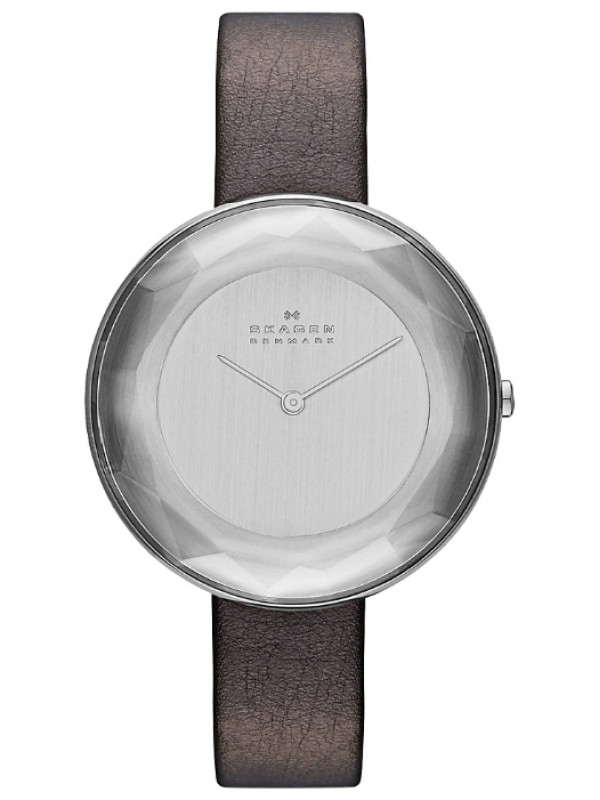 фото Женские наручные часы Skagen SKW2274
