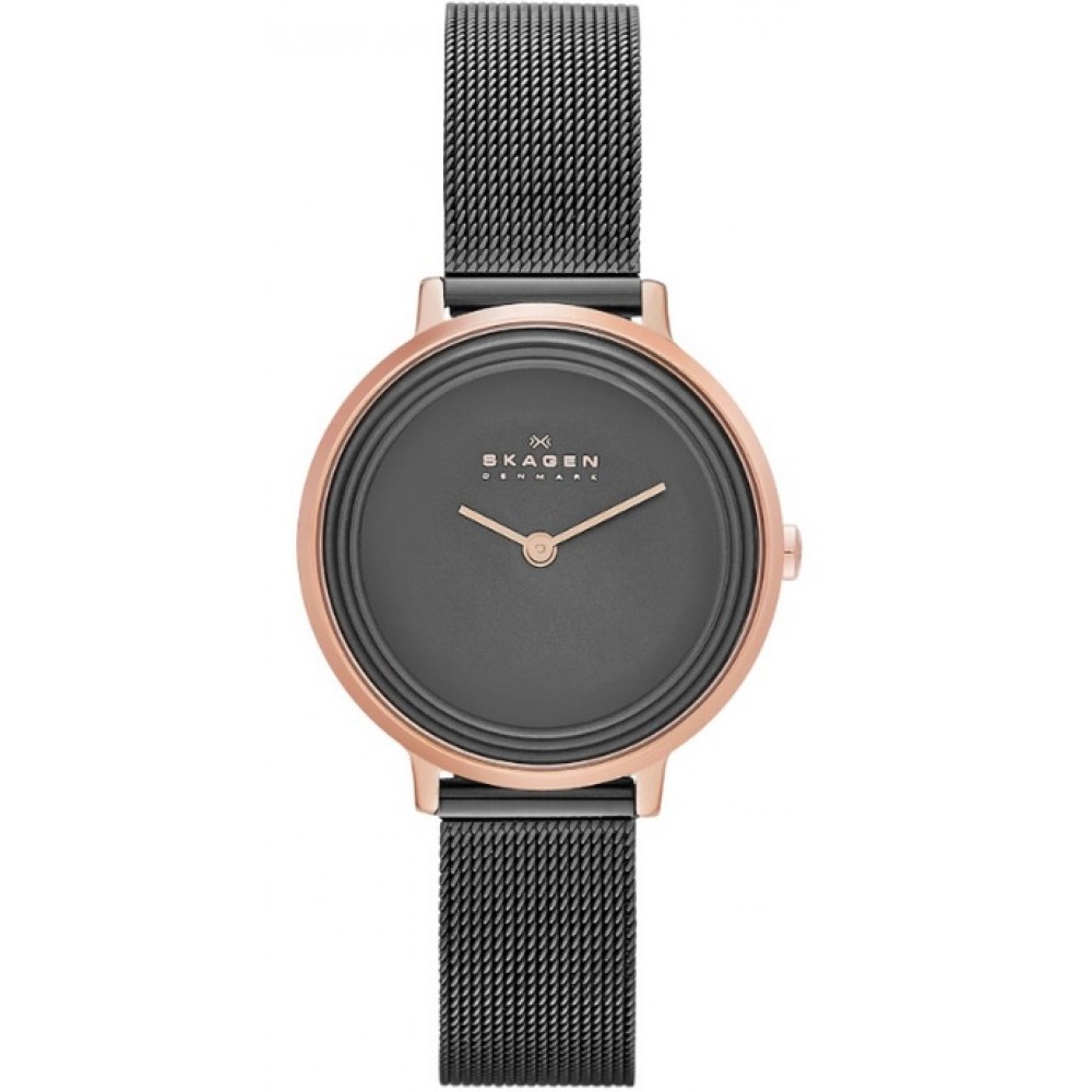 Наручные часы Skagen skw2390