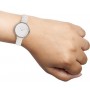 Женские наручные часы Skagen SKW2300