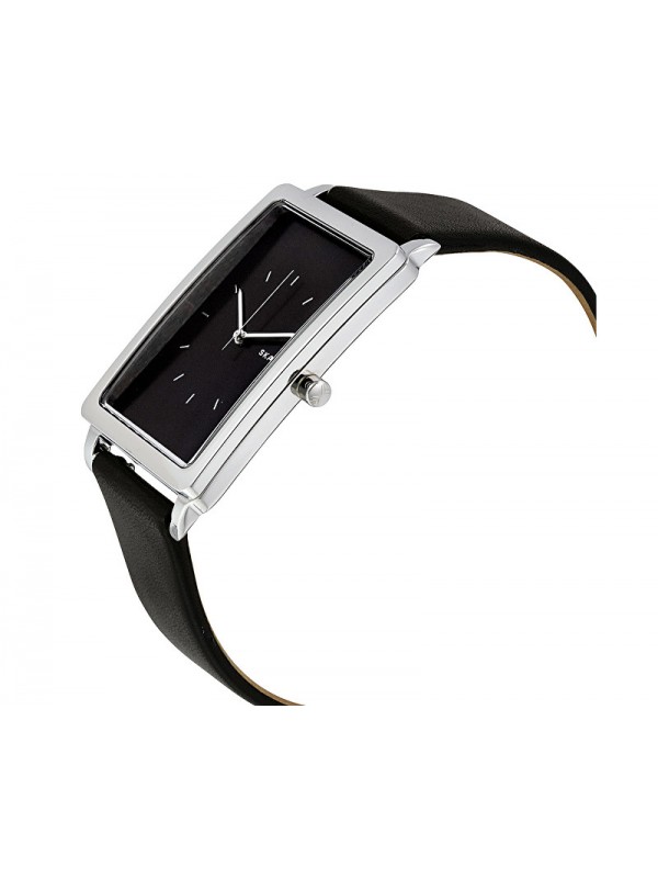 фото Женские наручные часы Skagen SKW2462