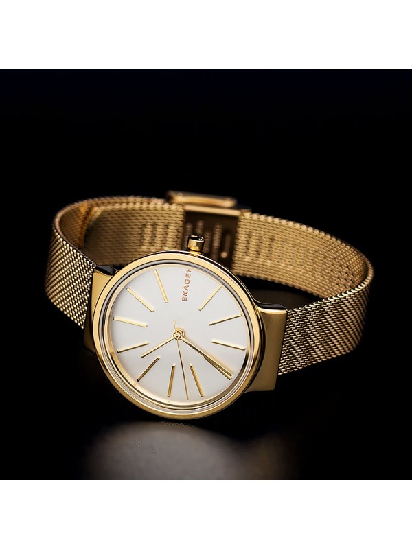 фото Женские наручные часы Skagen SKW2477