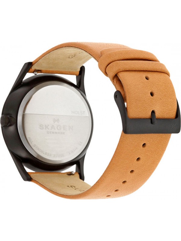 фото Мужские наручные часы Skagen SKW6265