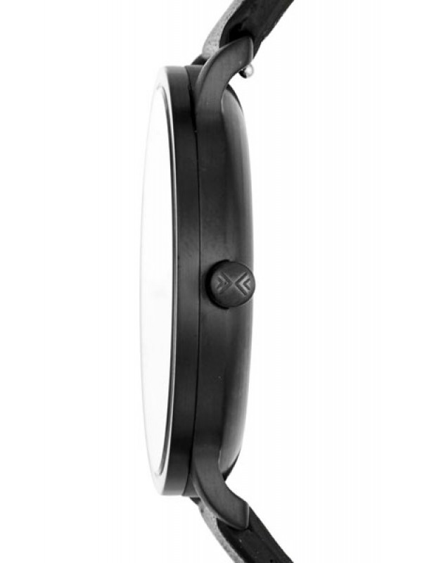 фото Мужские наручные часы Skagen SKW6308