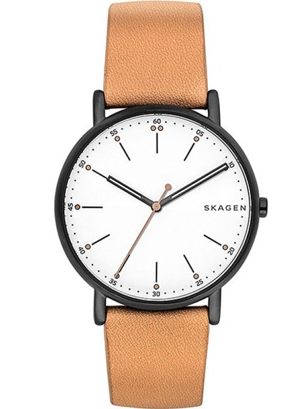 фото Мужские наручные часы Skagen SKW6352
