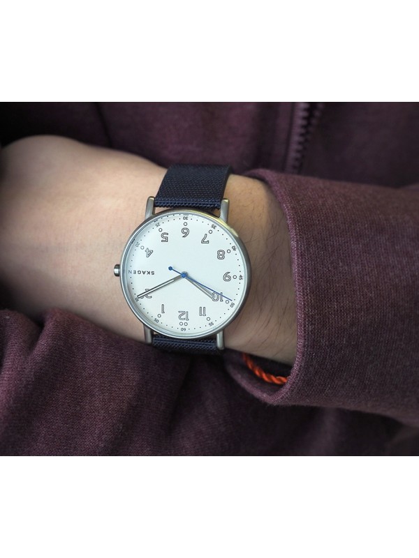 фото Мужские наручные часы Skagen SKW6356