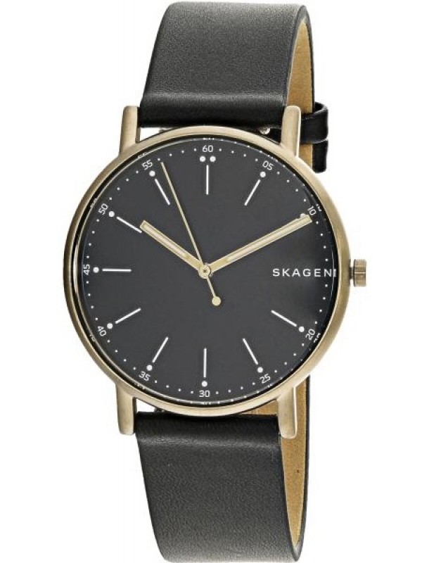 фото Мужские наручные часы Skagen SKW6401